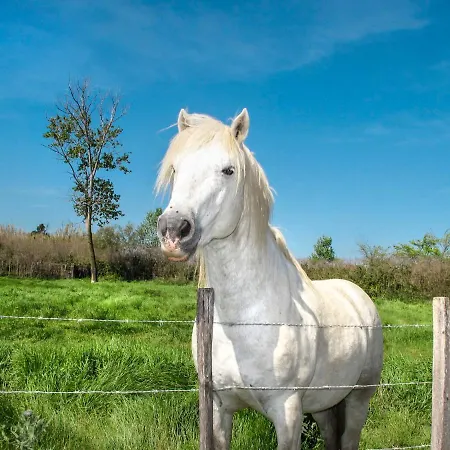 Posidonie By Interhome