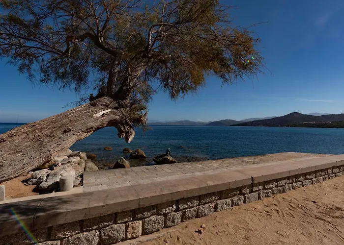 Posidonie By Interhome